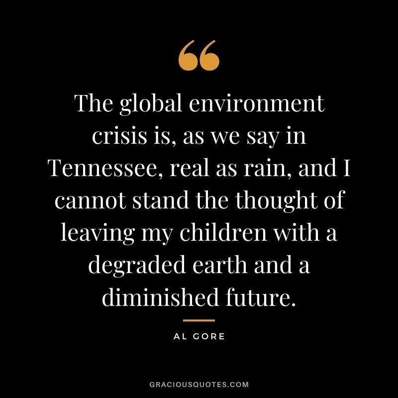 The global environment crisis is, as we say in Tennessee, real as rain, and I cannot stand the thought of leaving my children with a degraded earth and a diminished future.