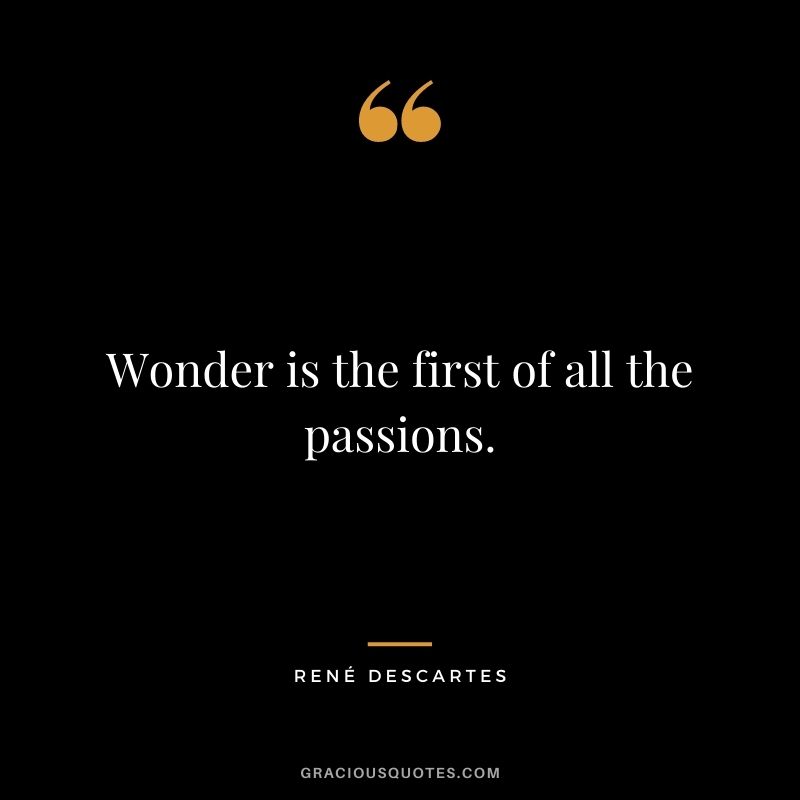 Wonder is the first of all the passions.