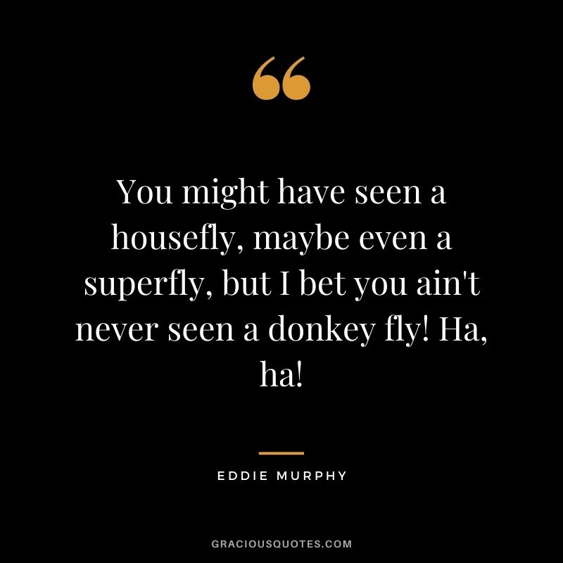 You might have seen a housefly, maybe even a superfly, but I bet you ain't never seen a donkey fly! Ha, ha!