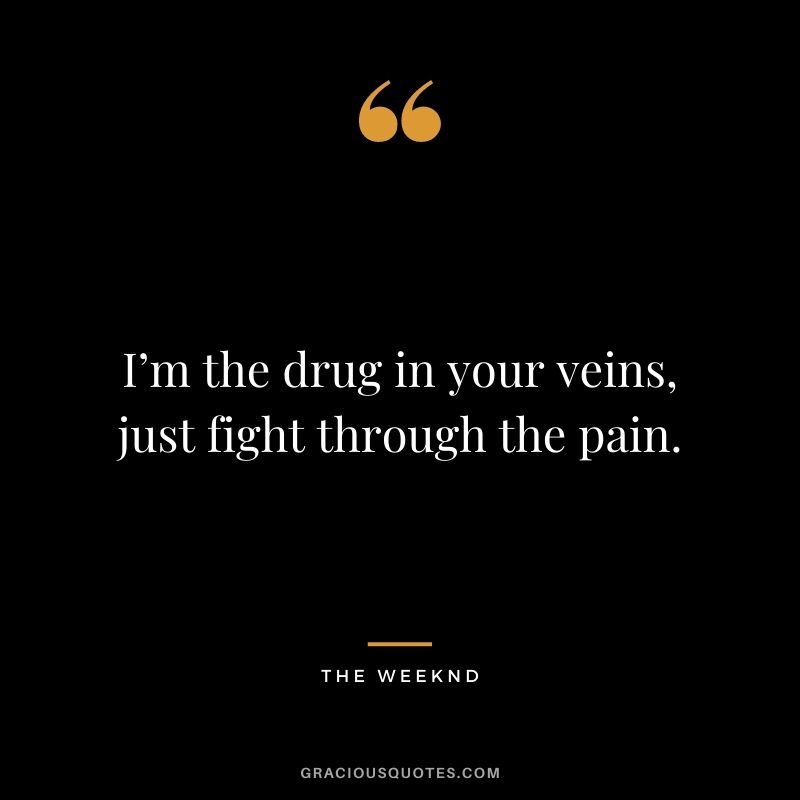 I’m the drug in your veins, just fight through the pain.