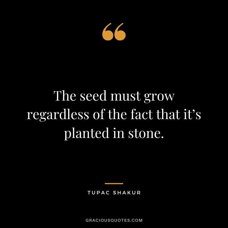 The seed must grow regardless of the fact that it’s planted in stone.