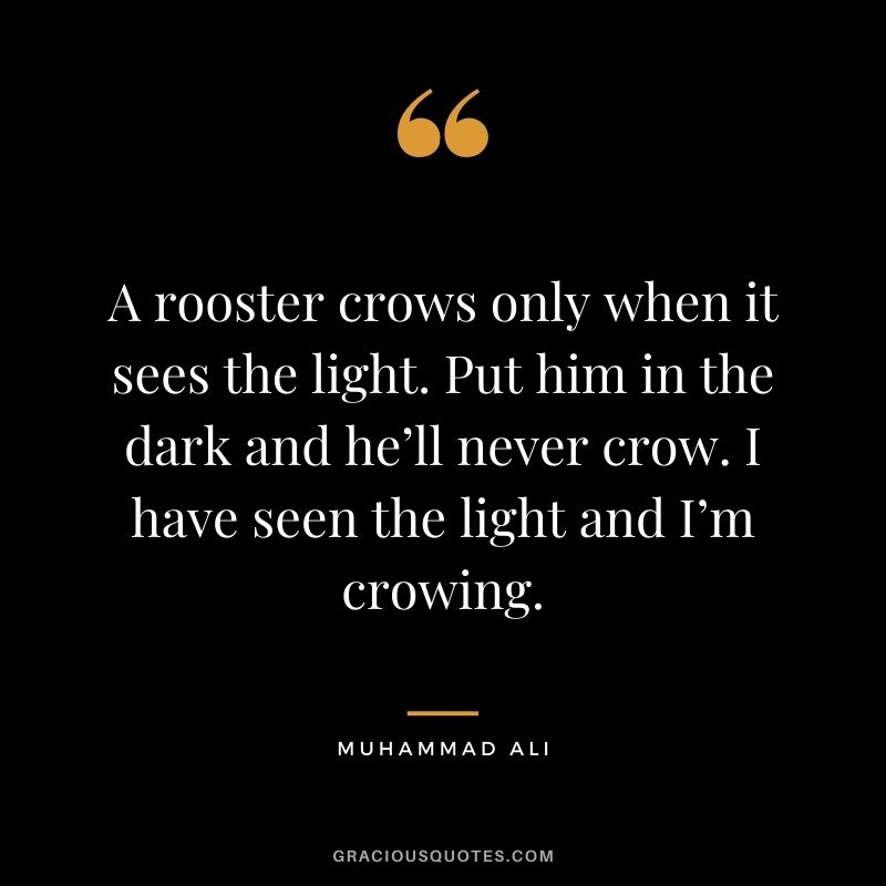 A rooster crows only when it sees the light. Put him in the dark and he’ll never crow. I have seen the light and I’m crowing.
