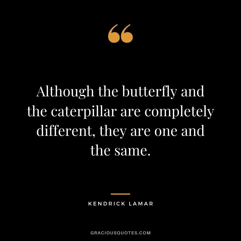Although the butterfly and the caterpillar are completely different, they are one and the same.