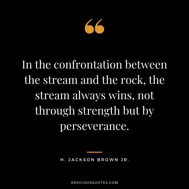 In the confrontation between the stream and the rock, the stream always wins, not through strength but by perseverance.