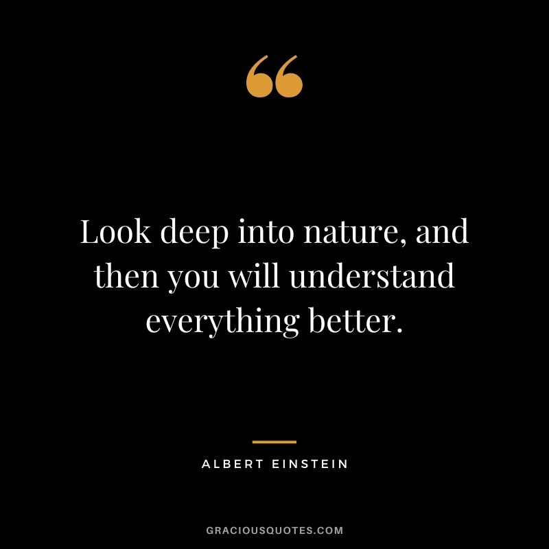 Look deep into nature, and then you will understand everything better.  - Albert Einstein