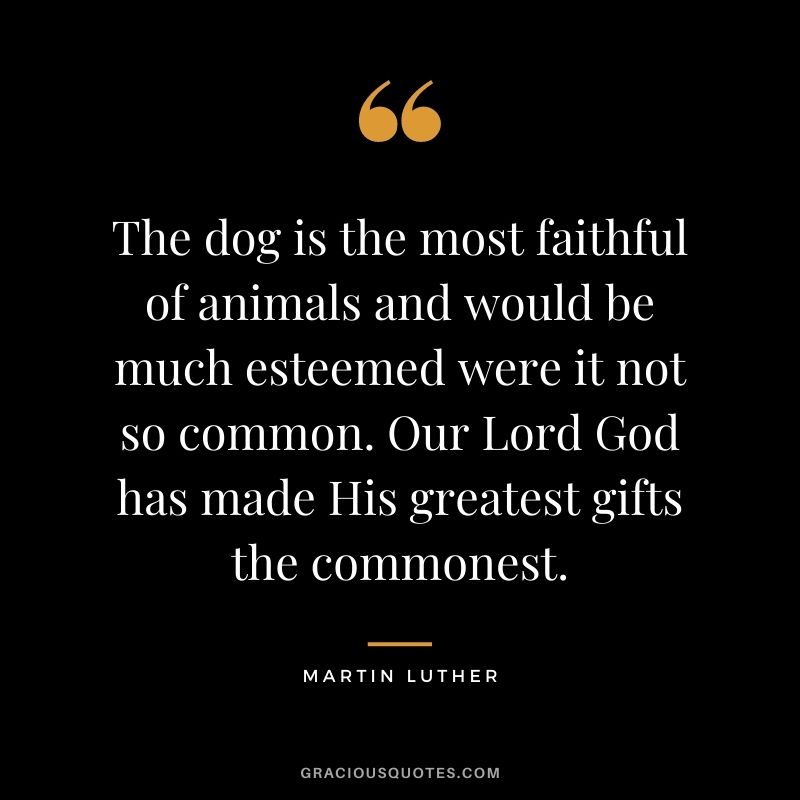 The dog is the most faithful of animals and would be much esteemed were it not so common. Our Lord God has made His greatest gifts the commonest.