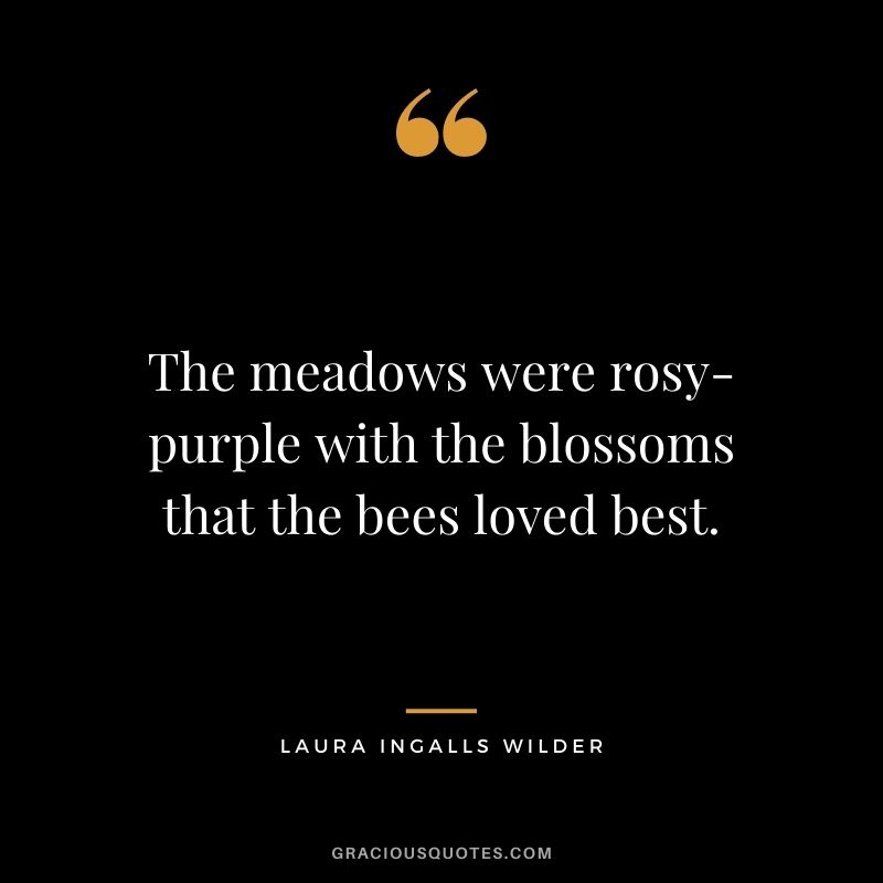 The meadows were rosy-purple with the blossoms that the bees loved best.
