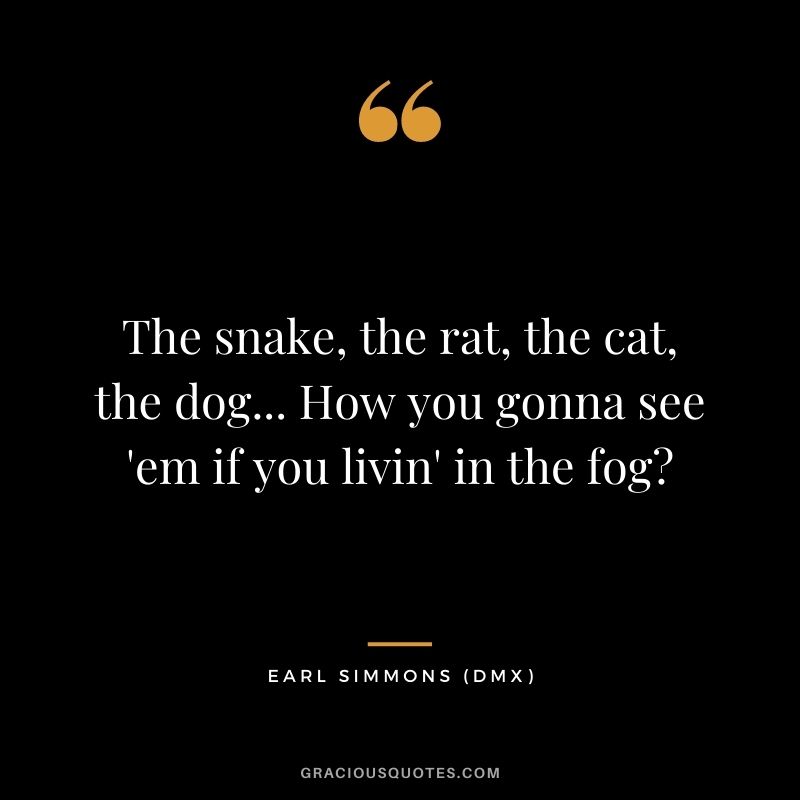 The snake, the rat, the cat, the dog... How you gonna see 'em if you livin' in the fog?