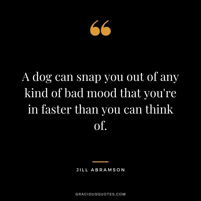 A dog can snap you out of any kind of bad mood that you're in faster than you can think of. - Jill Abramson
