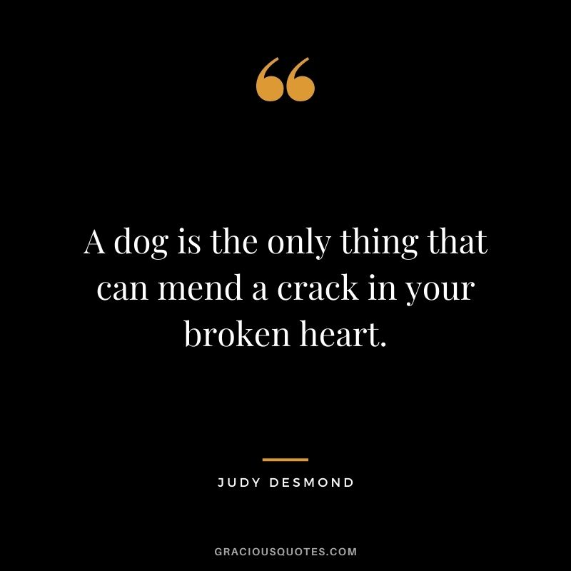 A dog is the only thing that can mend a crack in your broken heart. - Judy Desmond