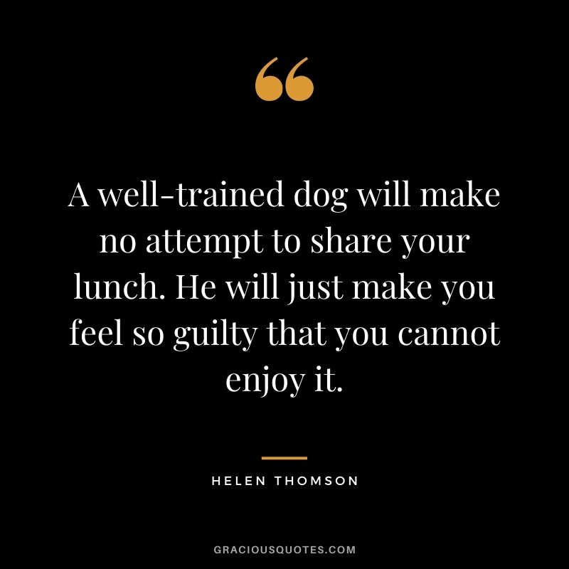 A well-trained dog will make no attempt to share your lunch. He will just make you feel so guilty that you cannot enjoy it. - Helen Thomson