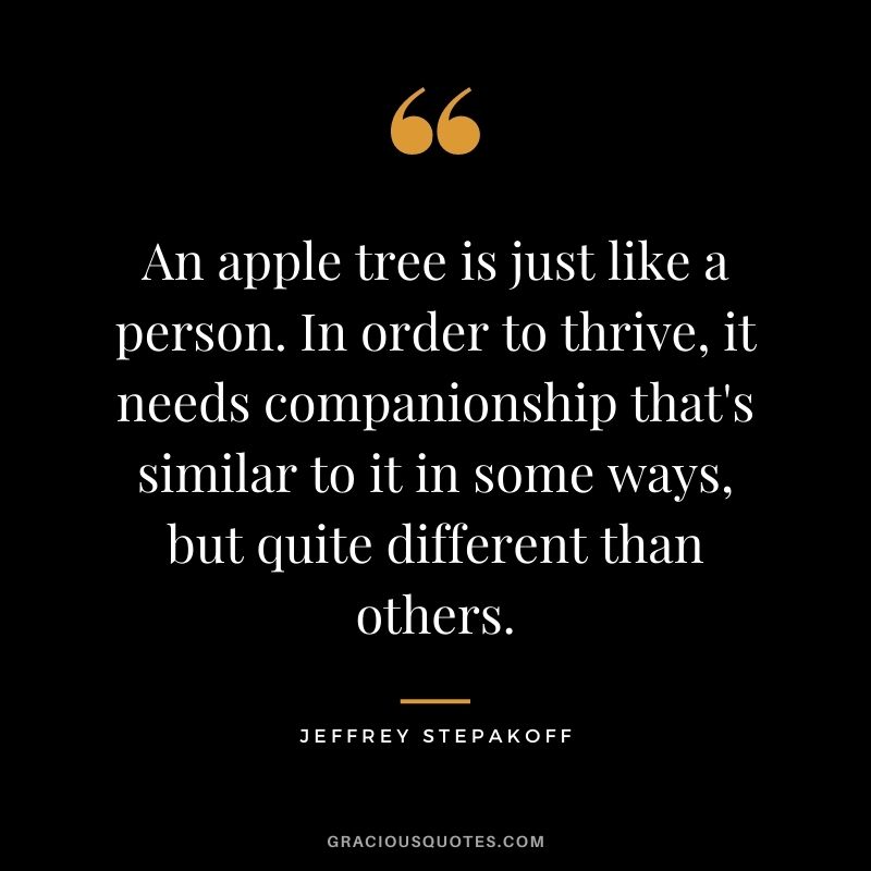 An apple tree is just like a person. In order to thrive, it needs companionship that's similar to it in some ways, but quite different than others. - Jeffrey Stepakoff