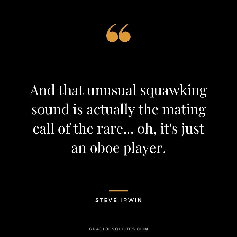 And that unusual squawking sound is actually the mating call of the rare... oh, it's just an oboe player.