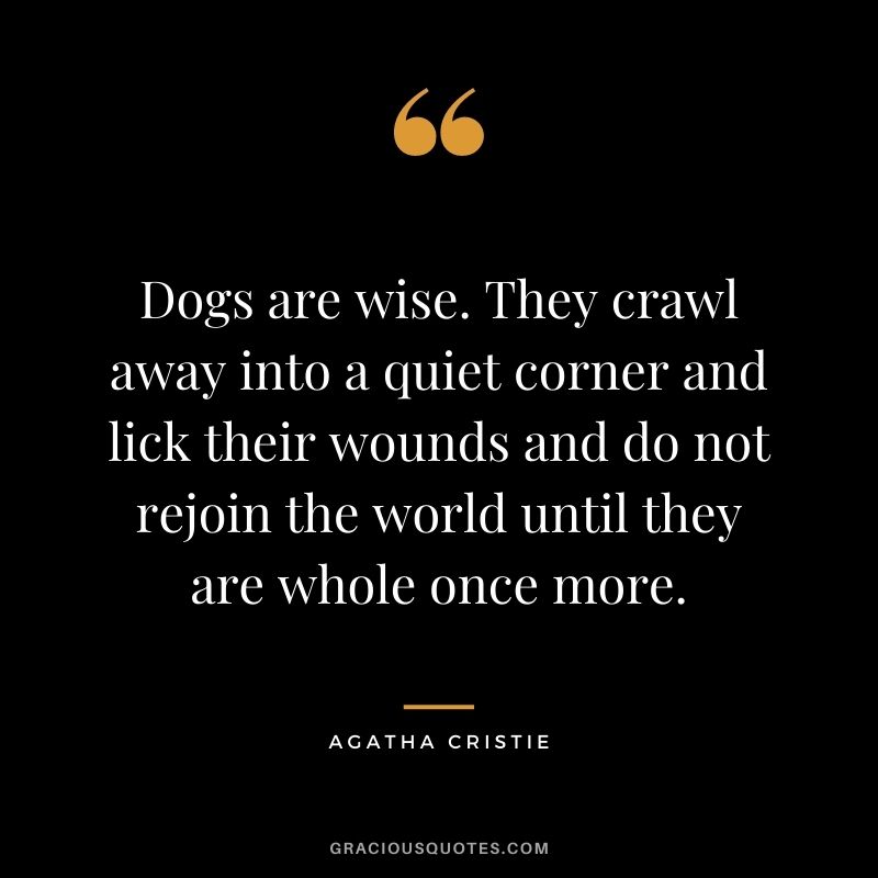 Dogs are wise. They crawl away into a quiet corner and lick their wounds and do not rejoin the world until they are whole once more. – Agatha Cristie