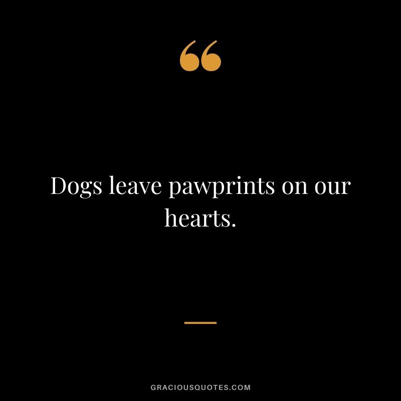 Dogs leave pawprints on our hearts.