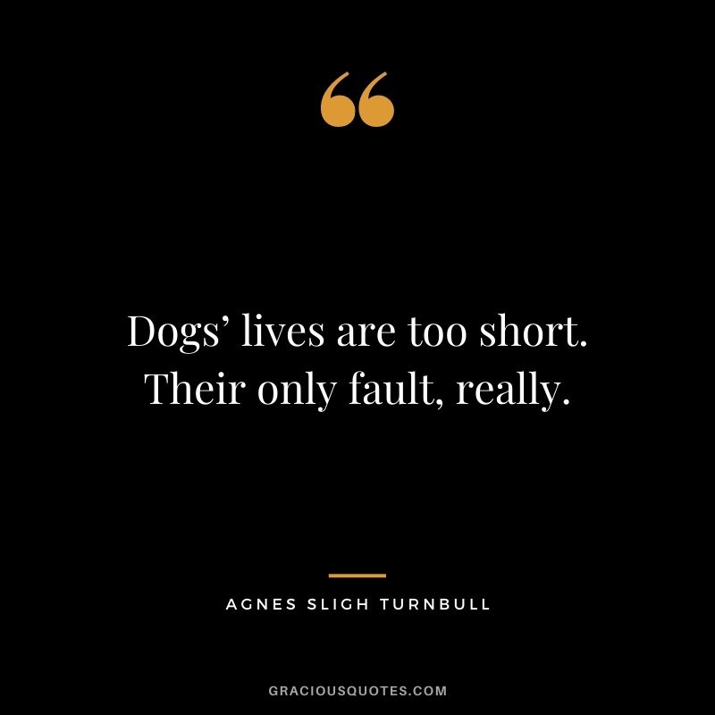 Dogs’ lives are too short. Their only fault, really. – Agnes Sligh Turnbull