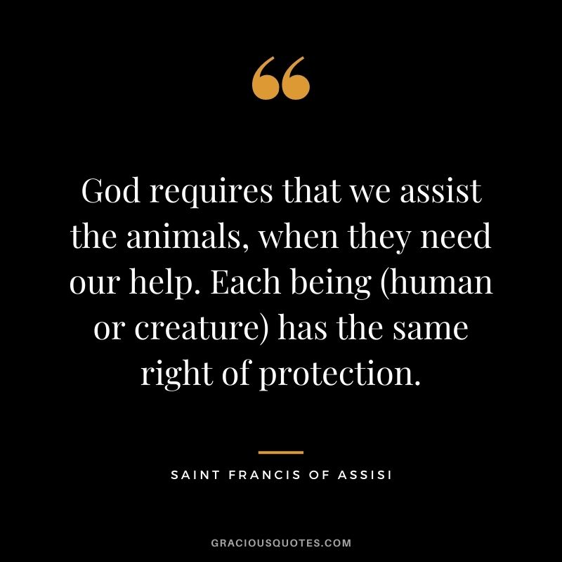 God requires that we assist the animals, when they need our help. Each being (human or creature) has the same right of protection.