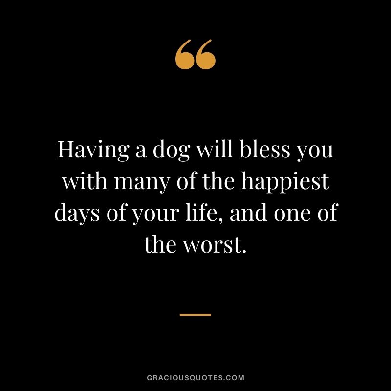 Having a dog will bless you with many of the happiest days of your life, and one of the worst.