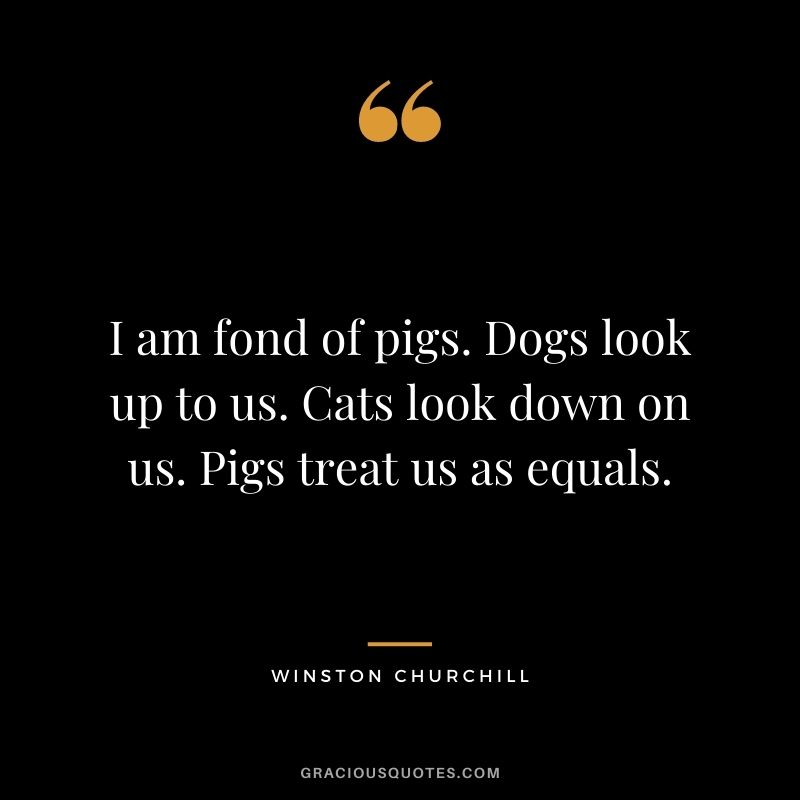 I am fond of pigs. Dogs look up to us. Cats look down on us. Pigs treat us as equals. – Winston Churchill