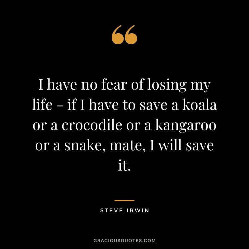 I have no fear of losing my life - if I have to save a koala or a crocodile or a kangaroo or a snake, mate, I will save it.
