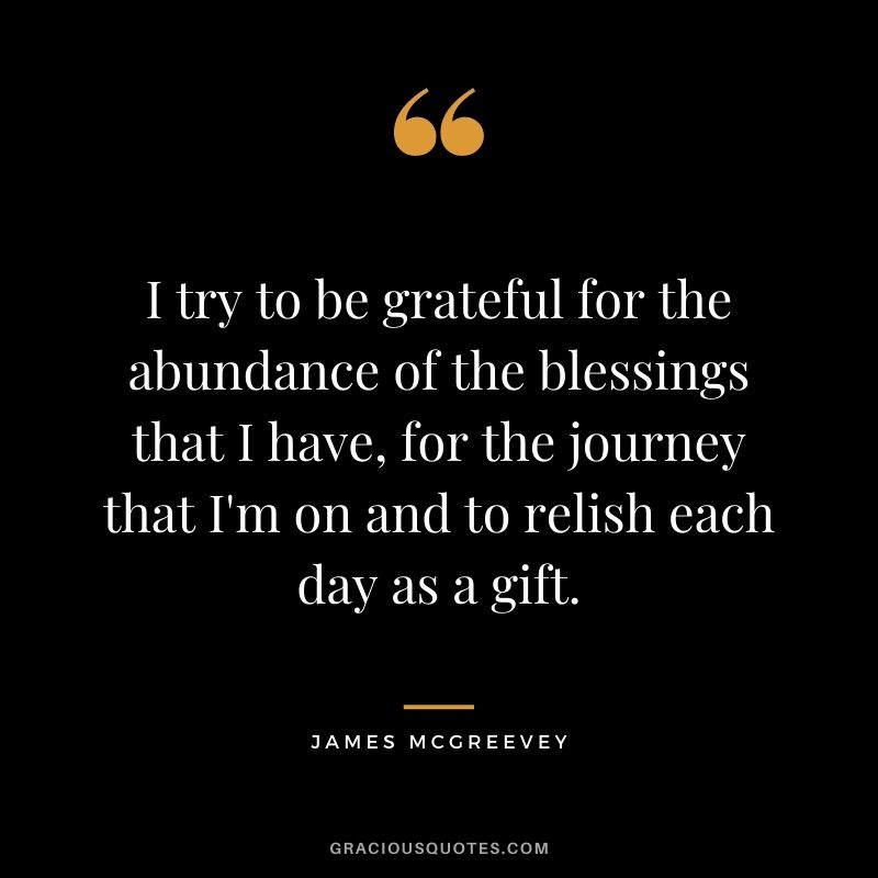 I try to be grateful for the abundance of the blessings that I have, for the journey that I'm on and to relish each day as a gift. - James McGreevey