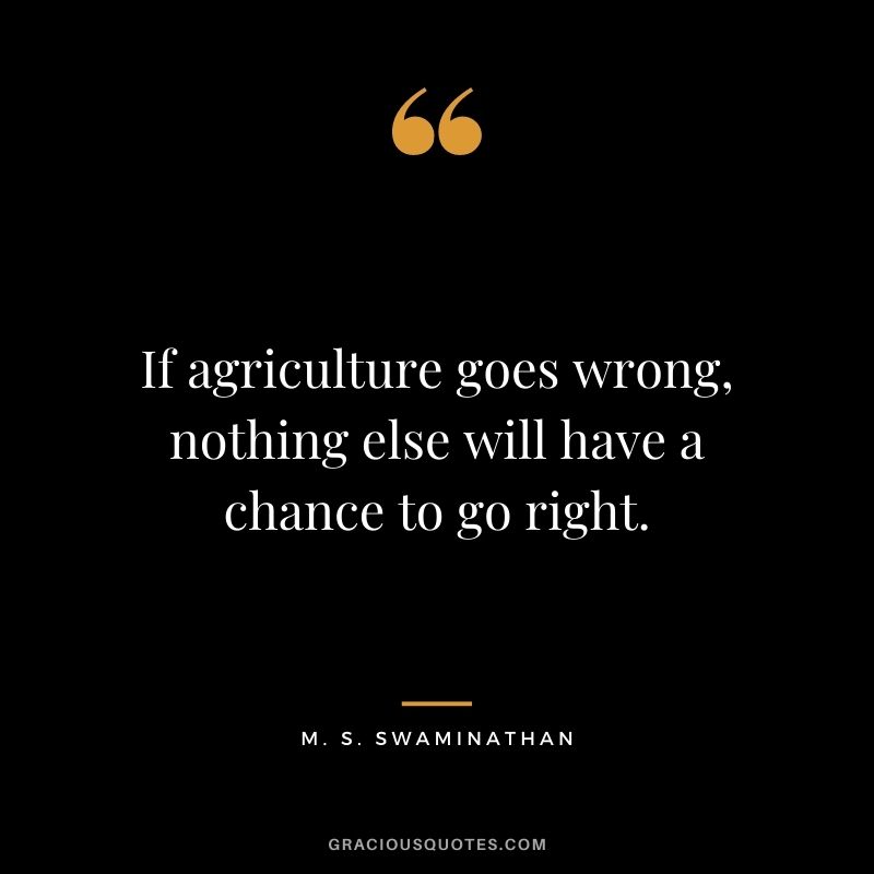If agriculture goes wrong, nothing else will have a chance to go right. - M. S. Swaminathan