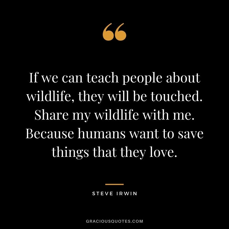 If we can teach people about wildlife, they will be touched. Share my wildlife with me. Because humans want to save things that they love.
