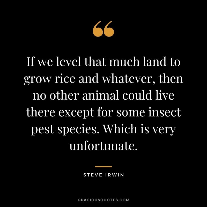 If we level that much land to grow rice and whatever, then no other animal could live there except for some insect pest species. Which is very unfortunate.