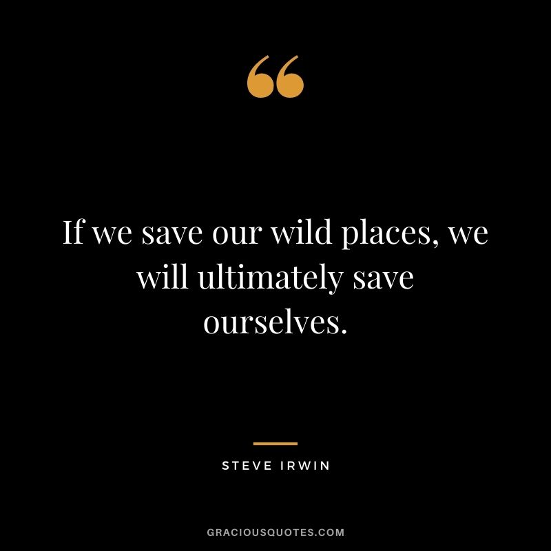 If we save our wild places, we will ultimately save ourselves.