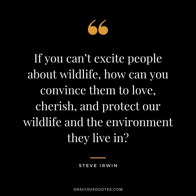 If you can’t excite people about wildlife, how can you convince them to love, cherish, and protect our wildlife and the environment they live in?