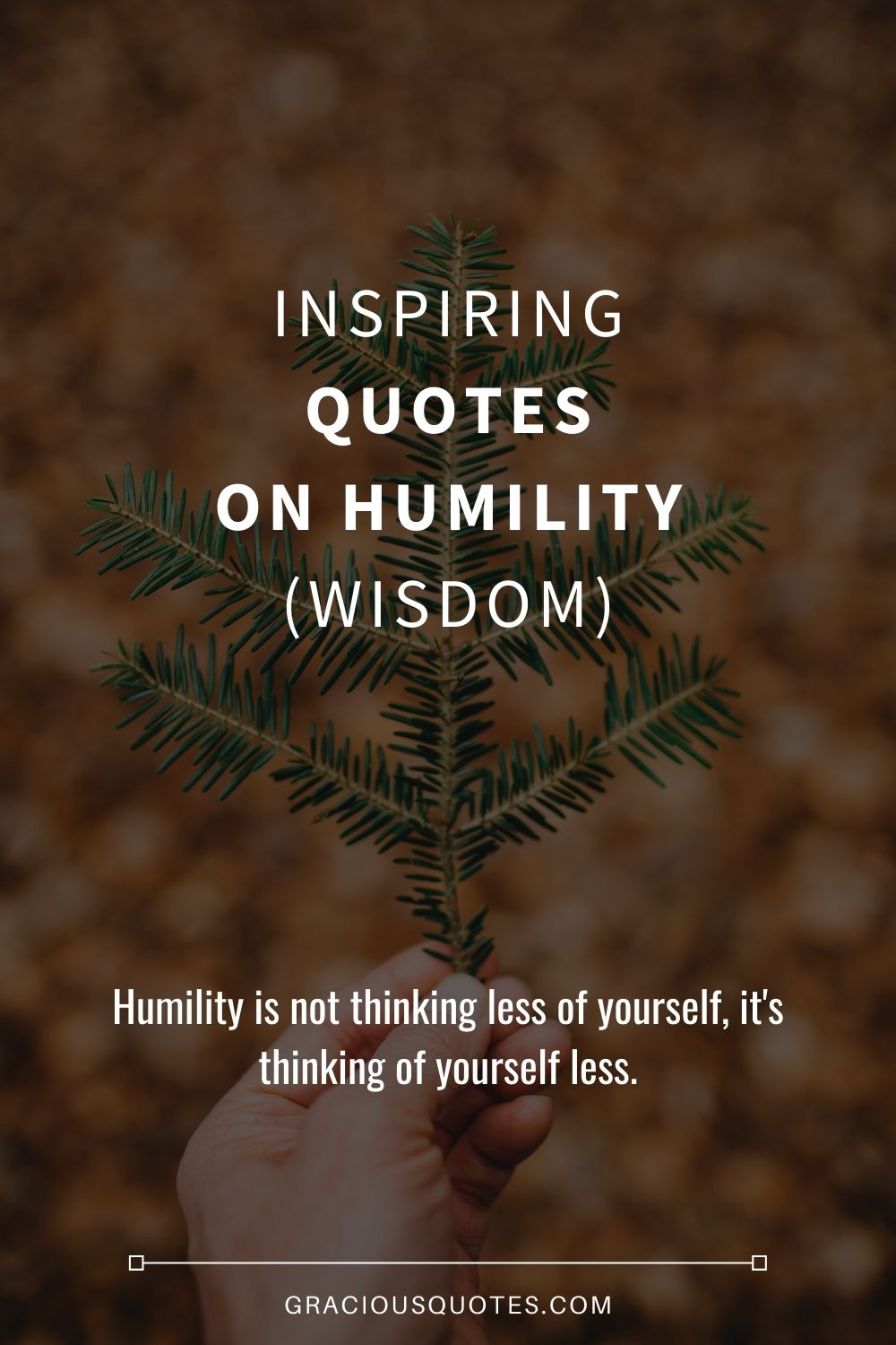 Inspiring Quotes on Humility (WISDOM) - Gracious Quotes