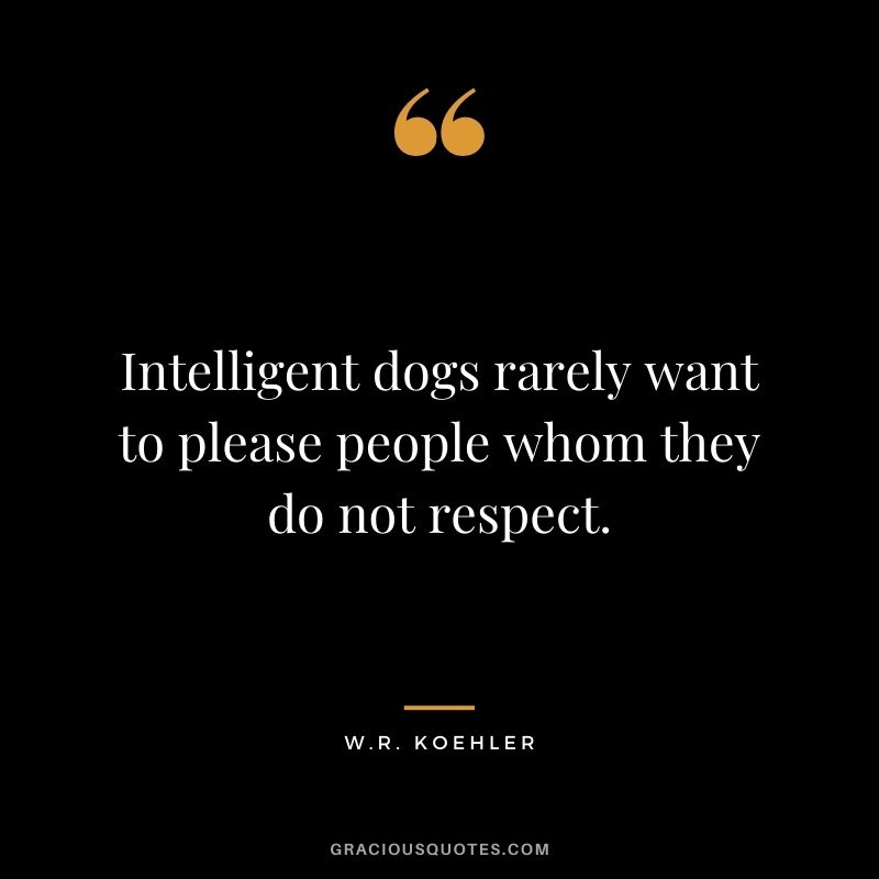 Intelligent dogs rarely want to please people whom they do not respect. - W.R. Koehler
