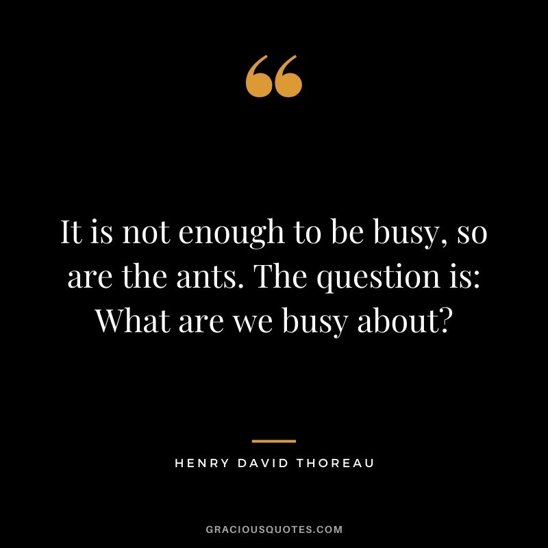 It is not enough to be busy, so are the ants. The question is: What are we busy about? – Henry David Thoreau