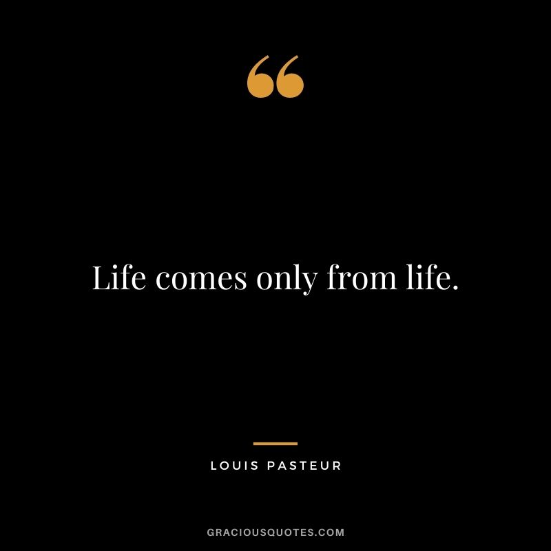 Life comes only from life.