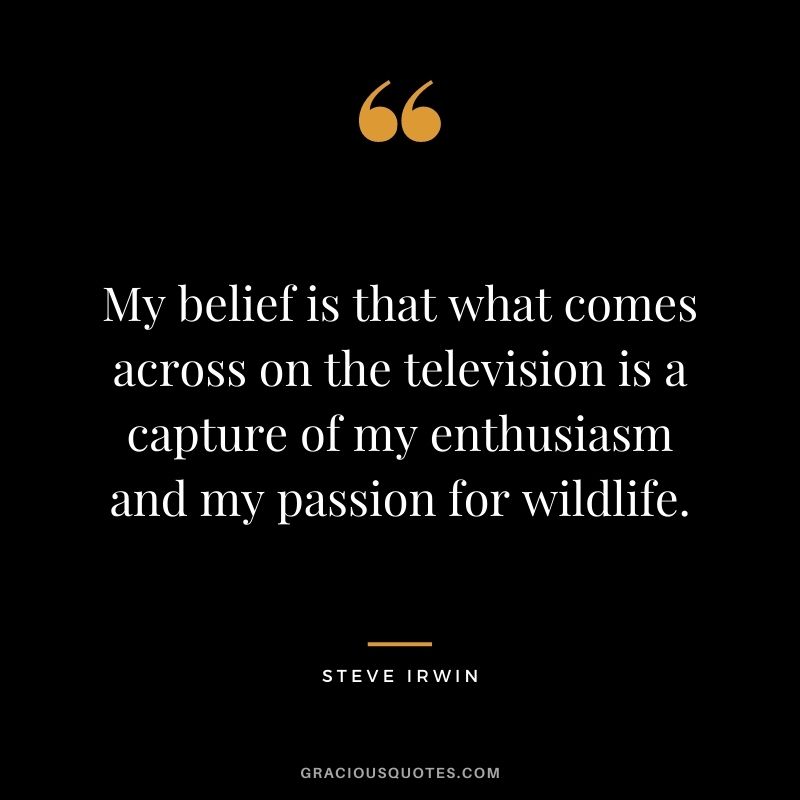 My belief is that what comes across on the television is a capture of my enthusiasm and my passion for wildlife.
