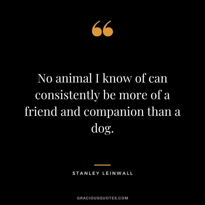 No animal I know of can consistently be more of a friend and companion than a dog. - Stanley Leinwall