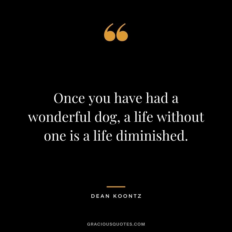 Once you have had a wonderful dog, a life without one is a life diminished. - Dean Koontz