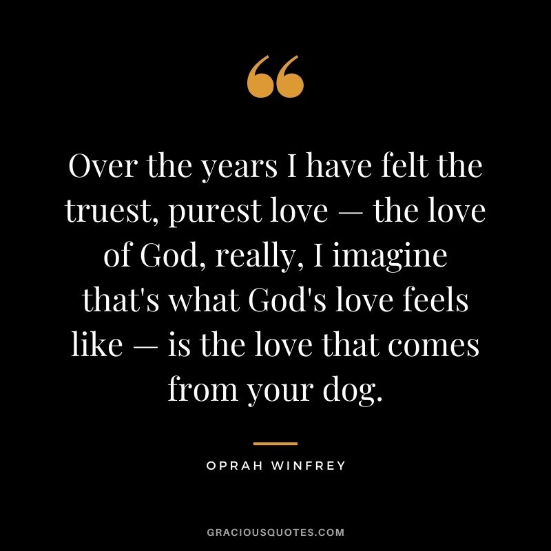 Over the years I have felt the truest, purest love — the love of God, really, I imagine that's what God's love feels like — is the love that comes from your dog. - Oprah Winfrey