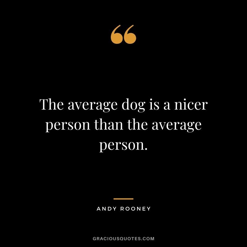 The average dog is a nicer person than the average person. - Andy Rooney
