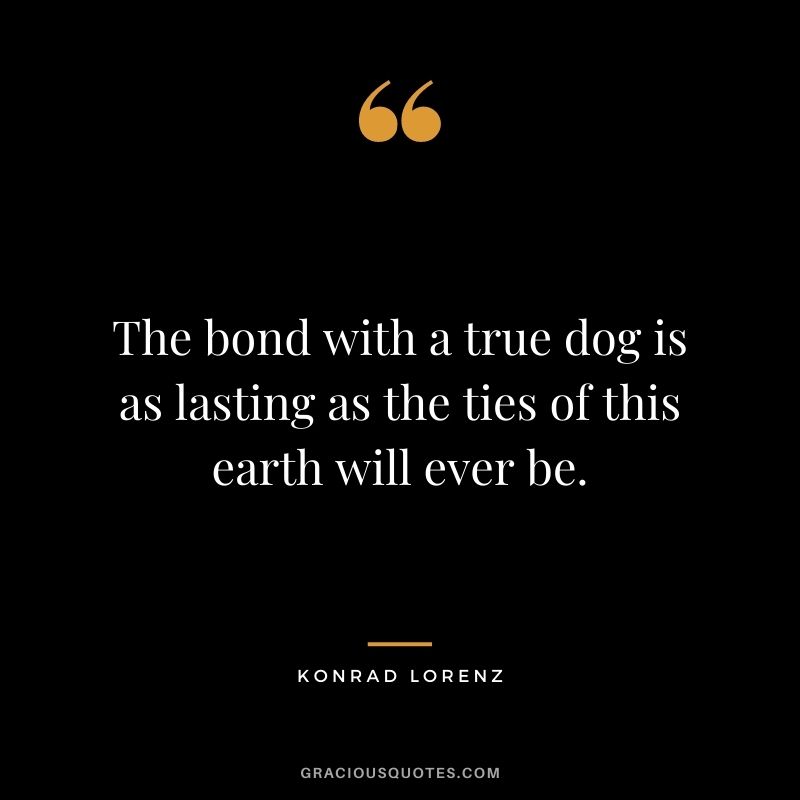 The bond with a true dog is as lasting as the ties of this earth will ever be. - Konrad Lorenz