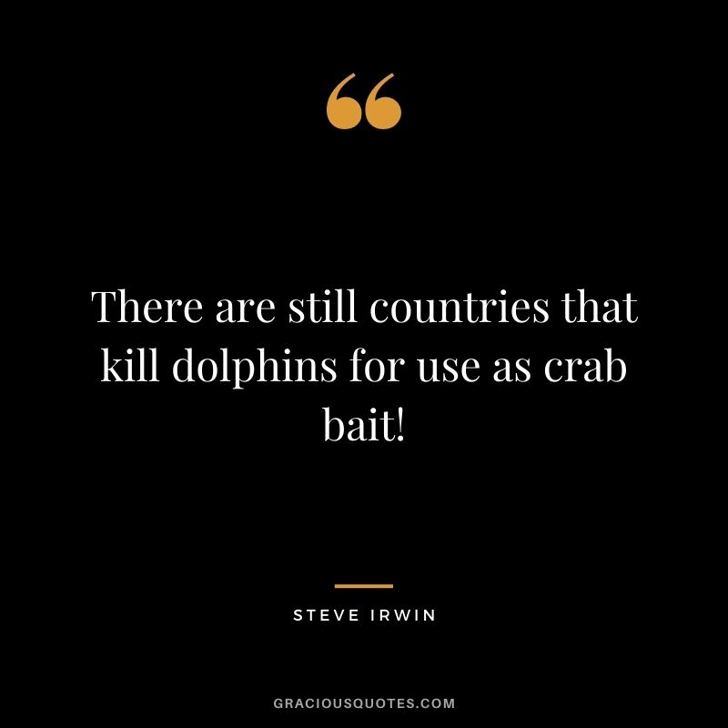 There are still countries that kill dolphins for use as crab bait!