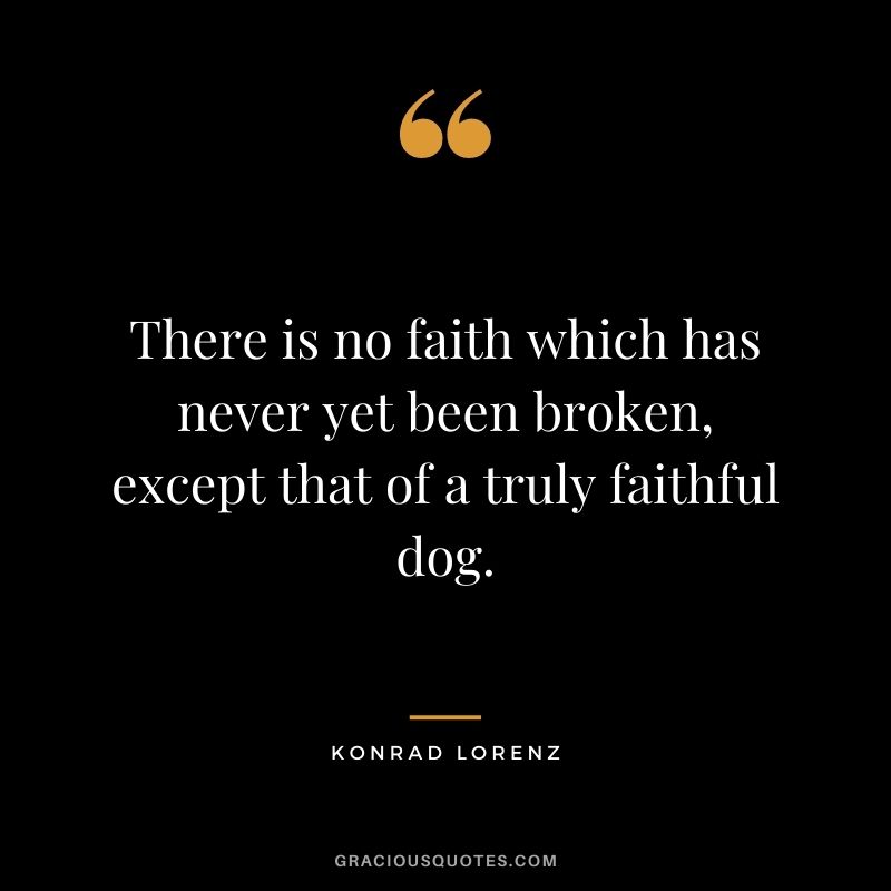 There is no faith which has never yet been broken, except that of a truly faithful dog. – Konrad Lorenz