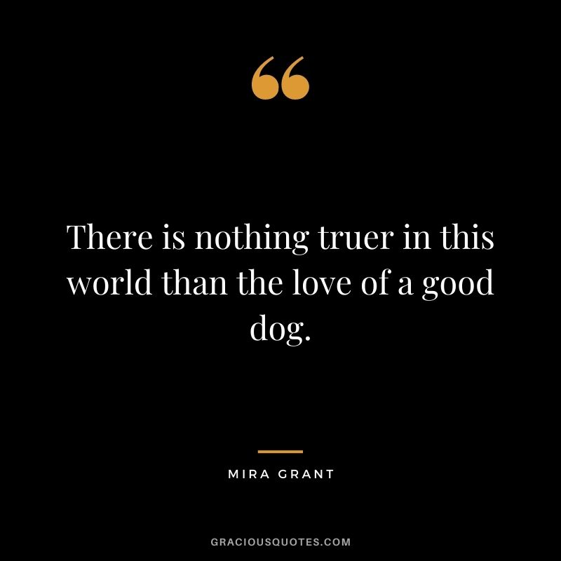 There is nothing truer in this world than the love of a good dog. - Mira Grant