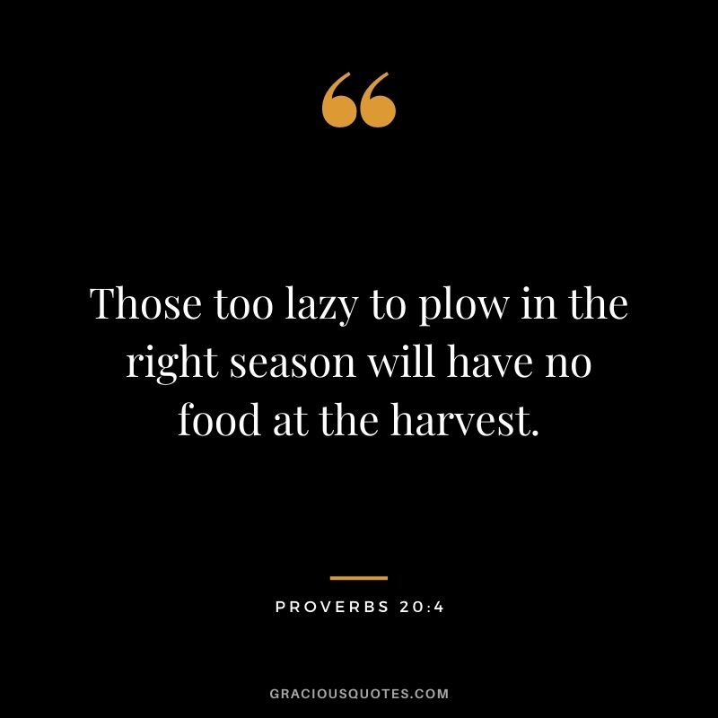 Those too lazy to plow in the right season will have no food at the harvest. — Proverbs 20:4