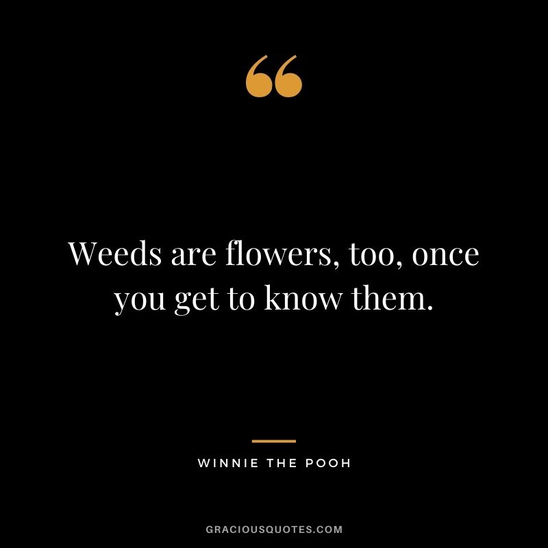 Weeds are flowers, too, once you get to know them.