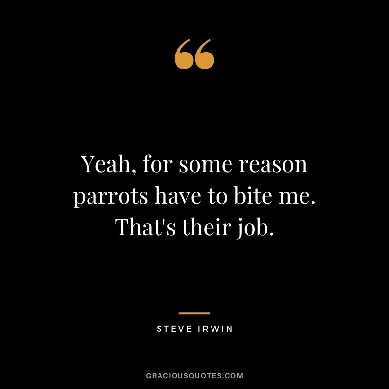 Yeah, for some reason parrots have to bite me. That's their job.