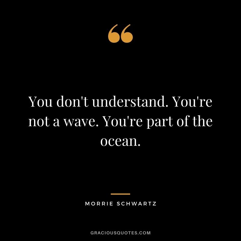 You don't understand. You're not a wave. You're part of the ocean.