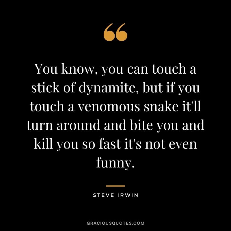 You know, you can touch a stick of dynamite, but if you touch a venomous snake it'll turn around and bite you and kill you so fast it's not even funny.