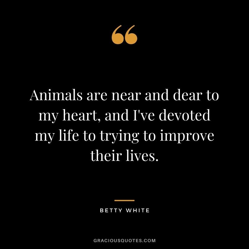 Animals are near and dear to my heart, and I've devoted my life to trying to improve their lives.