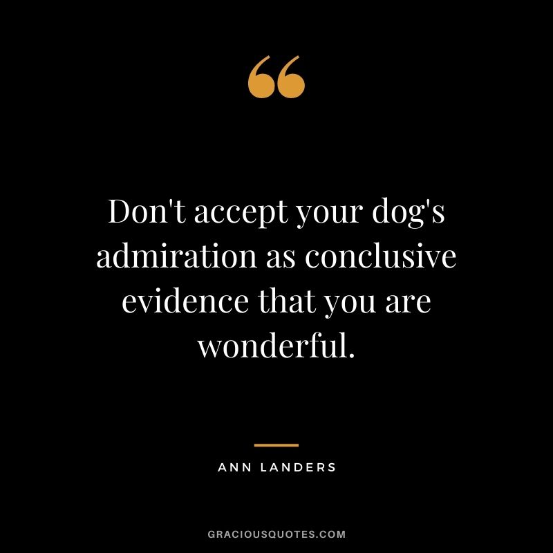 Don't accept your dog's admiration as conclusive evidence that you are wonderful.